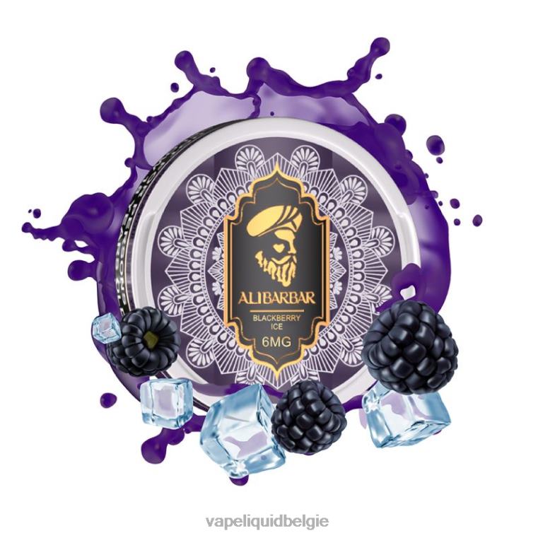 Alibarbar nicotinezakjes bramen ijs DZ24097 Vape Liquid