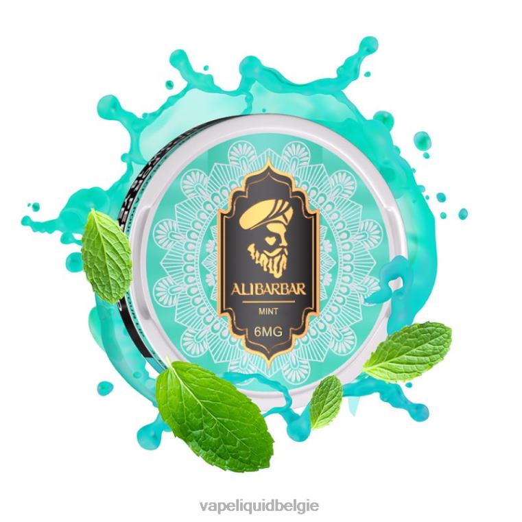Alibarbar nicotinezakjes munt DZ24089 Wegwerp Vape België