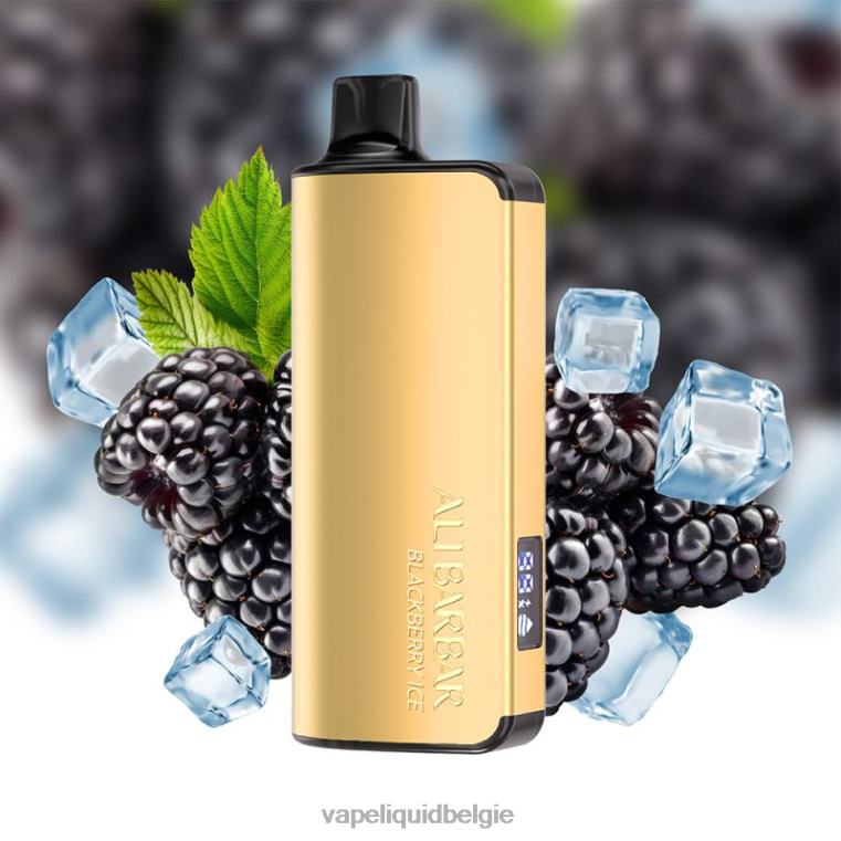 Alibarbar Ingot 20000 wegwerpdamp bramen ijs DZ24049 Wegwerp Vape België