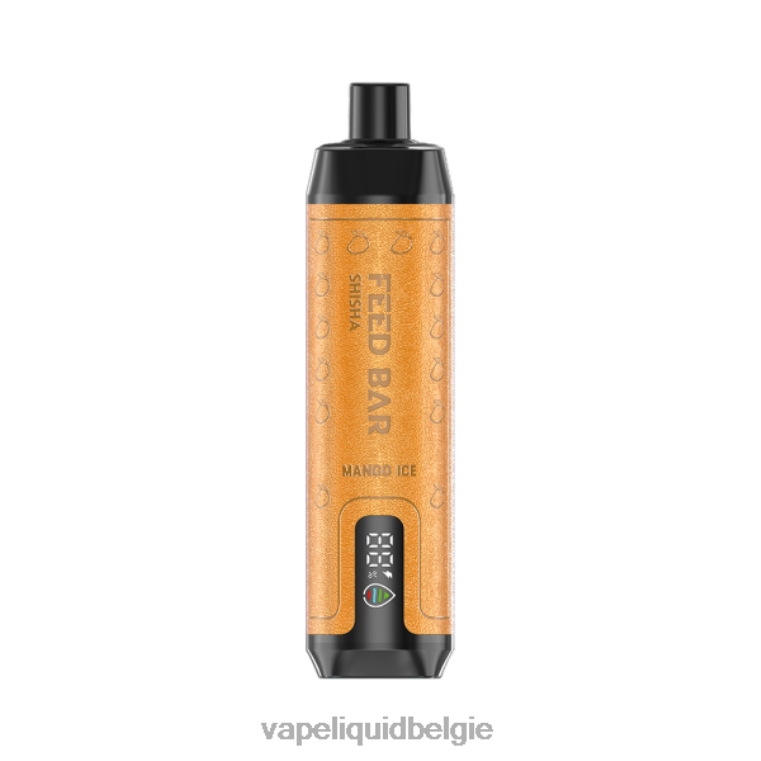 Vapsolo SHISHA wegwerp damp mango-ijs DZ240121 Vape België