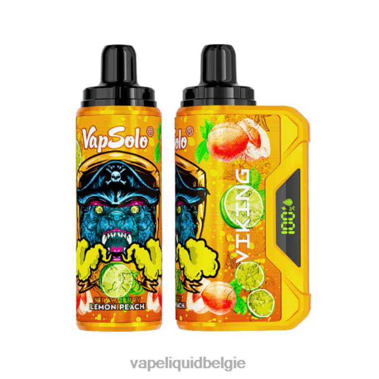 Vapsolo VIKING wegwerp damp citroen perzik DZ240153 Vape Smaken