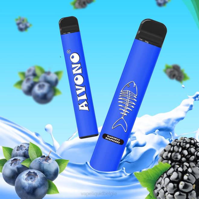 Aivono AIM FISHBONE 600 bosbes framboos - H8VF281 Vape Liquid