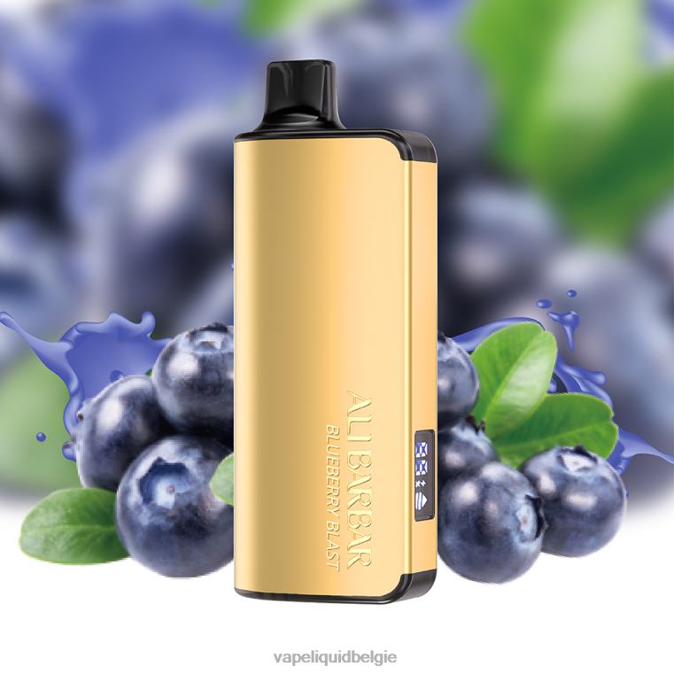 Alibarbar Ingot 9000 wegwerpdamp bosbessen explosie DZ24015 E-Liquid Kopen België