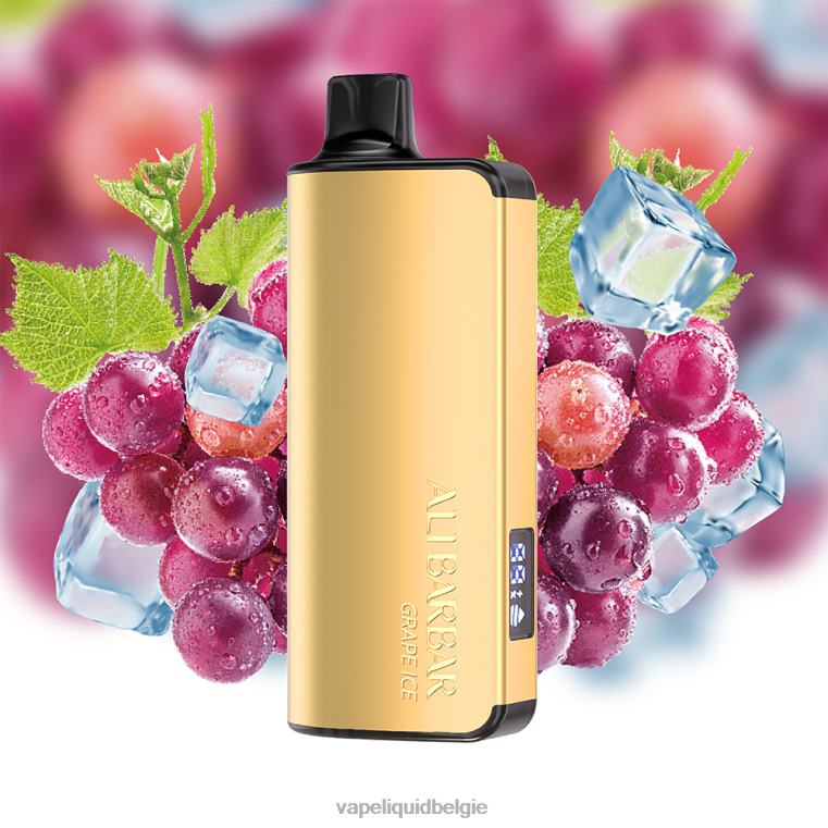 Alibarbar Ingot 9000 wegwerpdamp druiven ijs DZ24020 E-Liquid Kopen België