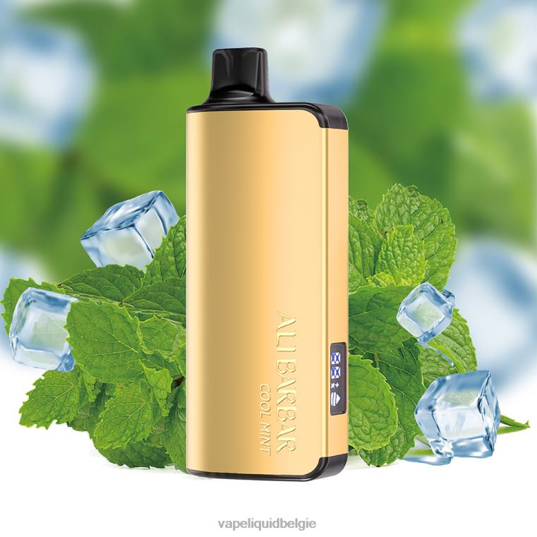 Alibarbar Ingot 9000 wegwerpdamp koele munt DZ24018 Vape Smaken