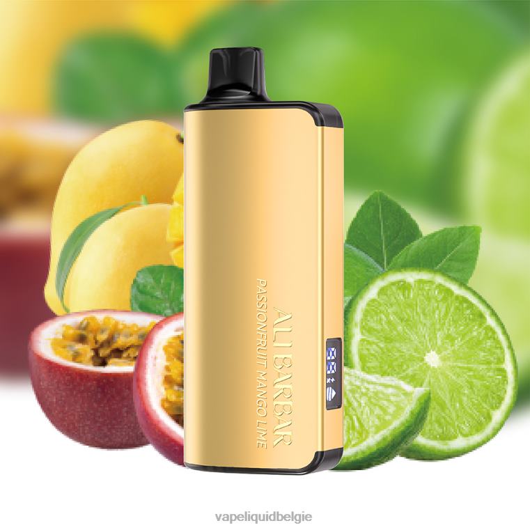 Alibarbar Ingot 9000 wegwerpdamp passievrucht-mango-limoen DZ24022 Vape Liquid