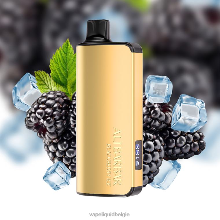 Alibarbar Ingot 9000 wegwerpdamp watermeloen ijs DZ24026 Vape België