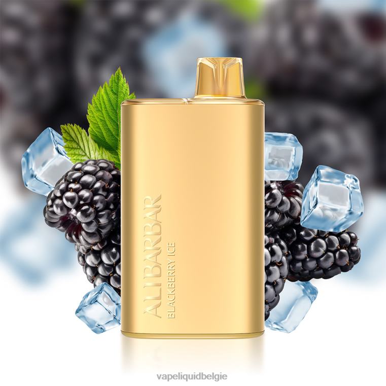 Alibarbar Rich 8000 wegwerpdamp zachte tabak DZ2409 Wegwerp Vape België