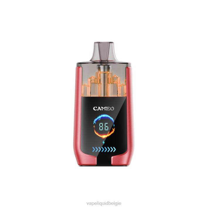 B82B14 Vape Liquid | watermeloen ijs LAVIE CAMEO 30.000 trekjes