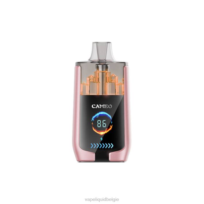 B82B19 Vape België | tropisch fruit LAVIE CAMEO 30.000 trekjes