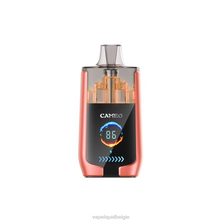B82B24 E-Liquid Kopen België | aardbei watermeloen LAVIE CAMEO 30.000 trekjes