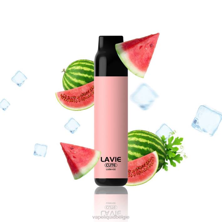 B82B285 E-Liquid Kopen België | weelderig ijs LAVIE BAR 3000 trekjes