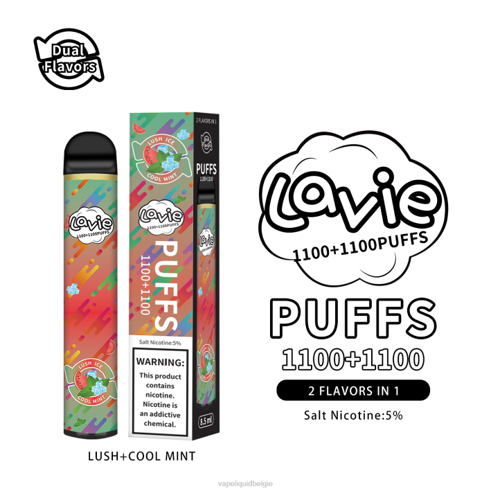 B82B294 E-Liquid Kopen België | weelderige/koele munt LAVIE BAR Switch 2200 trekjes