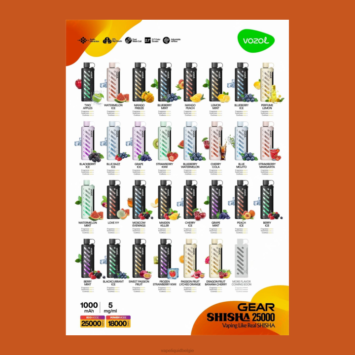 Vape België B0D01 VOZOL uitrusting shisha 25000