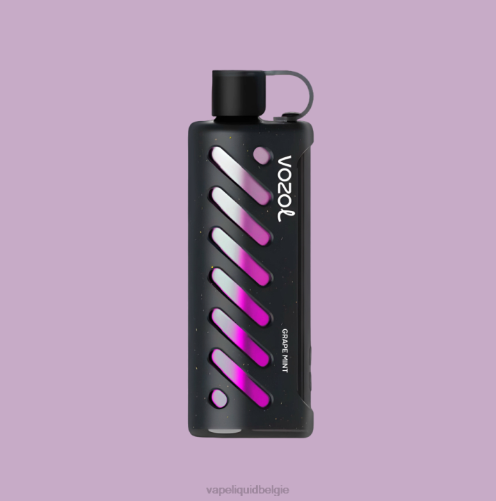 Vape België B0D01 VOZOL uitrusting shisha 25000